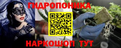 a pvp Апшеронск